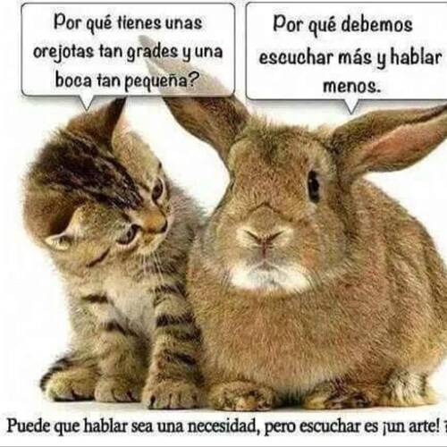 Foto extra 3