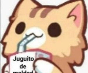 Paz