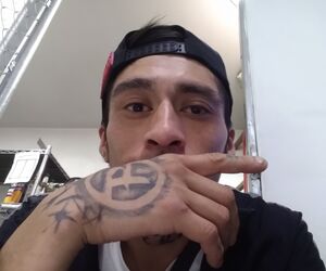 Alfredo