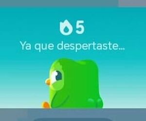 Tttt