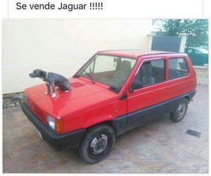 Juanjo