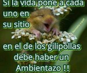 Carmen M Merga