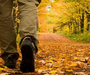 Caminante