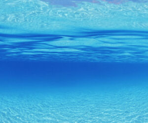 Azul valld
