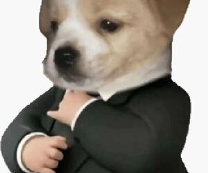 x_GM_x
