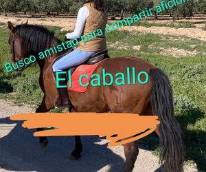 Conchi Cantill
