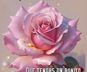 Jose