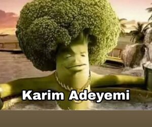 Karim