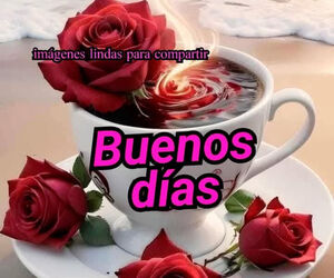 Elvisjose12345
