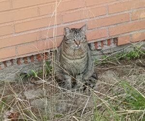 Alberto