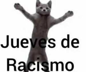 Joel