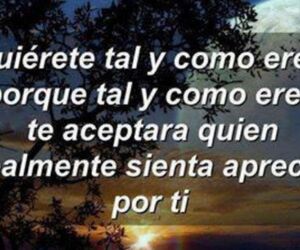 Arnedo