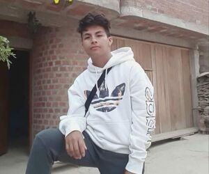 Alfredito