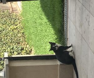Manuel