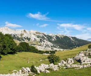 Urbia