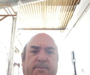 Felipe cuesta