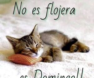 Tomy