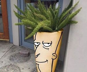 Entropia