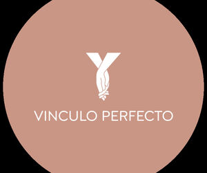 Vinculo Perfec