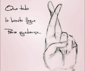 Lerim