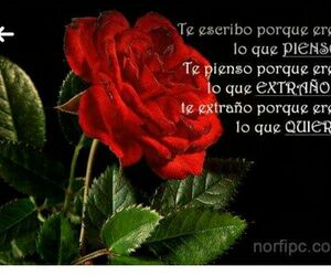 jose