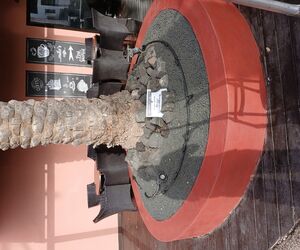 Luismariano70@