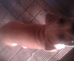 Jackss