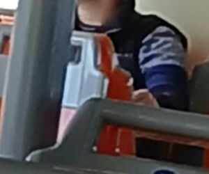 Mijel