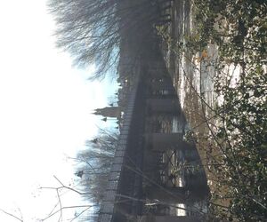 Hidalgavane