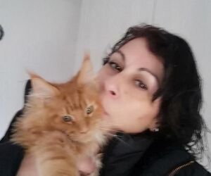Amparo