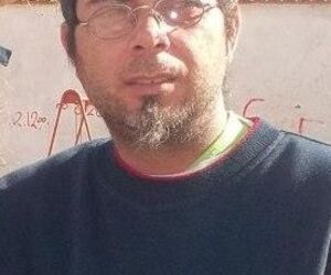david