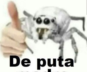 Ricardo