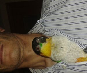 Enrique