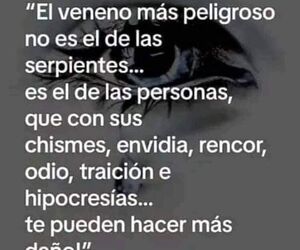 Acedo