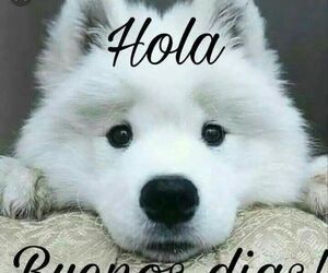 Jose