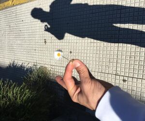 PNuñez