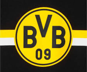 Badar