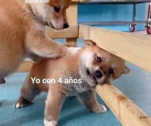 Lizbeth