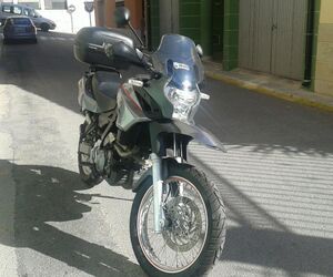 Enologo40