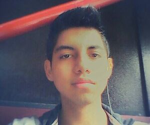 greyh