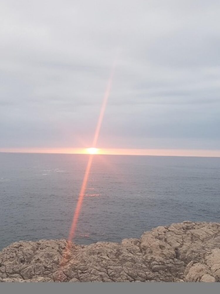 Foto de perfil de Maria