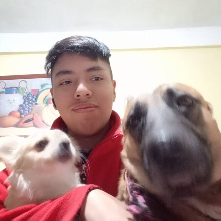 Foto de perfil