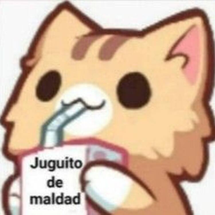 Foto de perfil de Paz