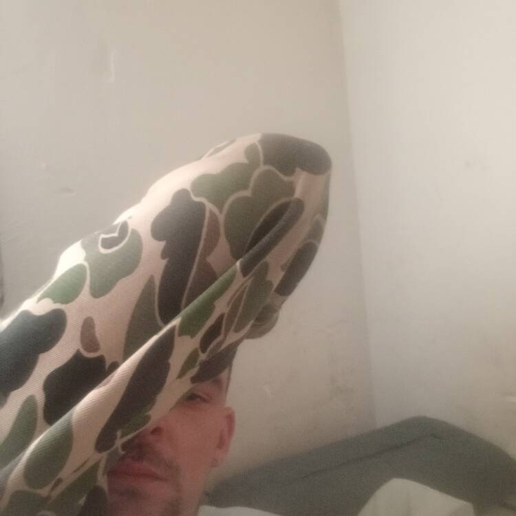 Foto de perfil de JaviCurioso