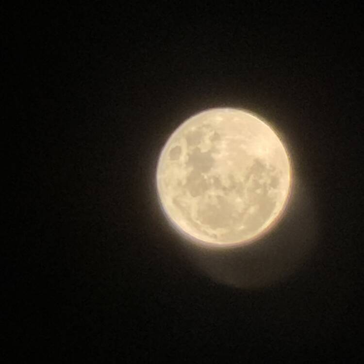 Foto de perfil de Andrei