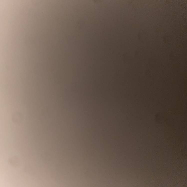 Foto de perfil de Javi