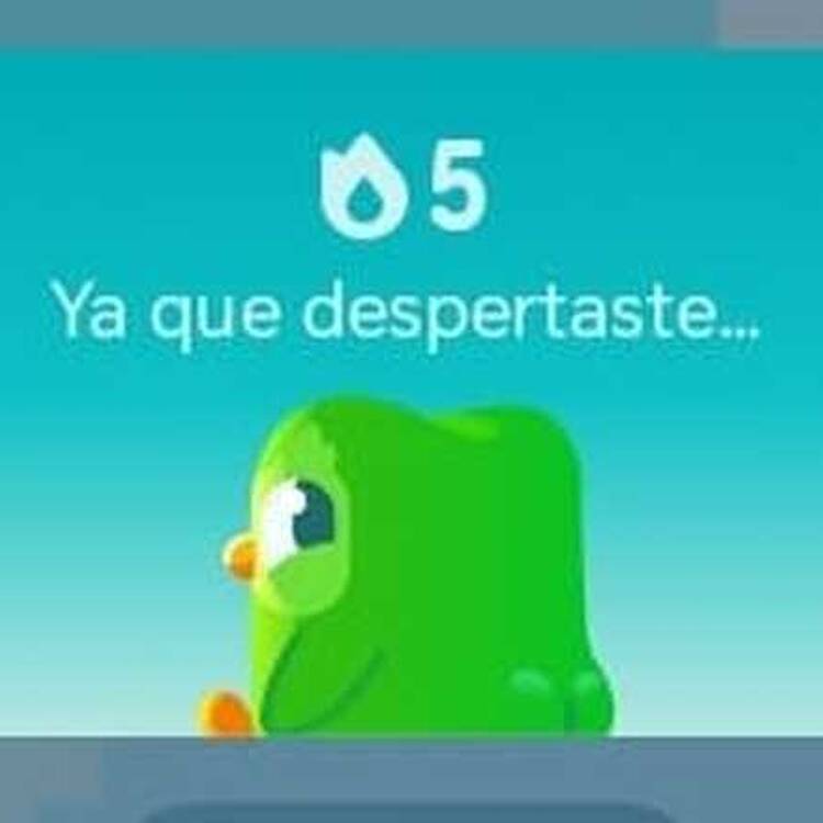 Foto de perfil de Tttt