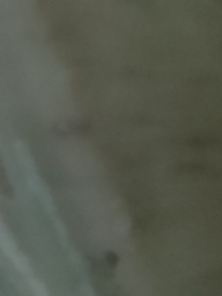 Foto de perfil de Eloy
