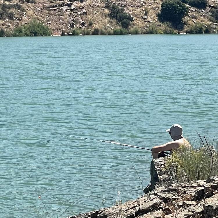 Foto de perfil de Fer