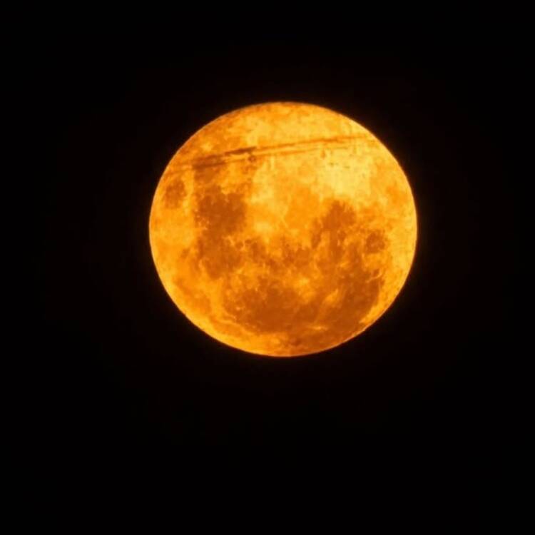 Foto de perfil de Mell